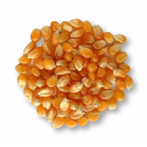 Popcorn