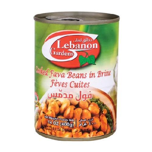 Fava Beans Lebanon Gardens
